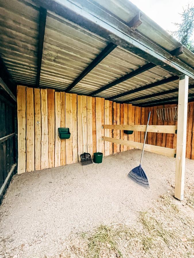 Wunderschoenes Chalet Mit Gaestehaus In Der Natur Mit Fass-Sauna Sangerhausen Exterior photo
